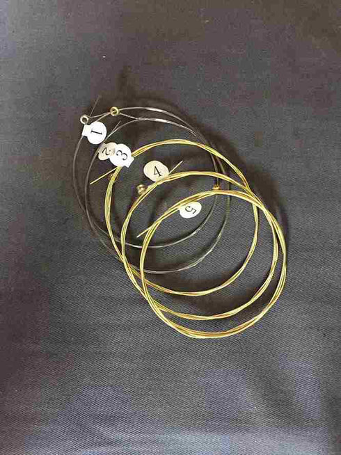 Lyre Harp 10 Metal Strings Rosewood With FREE Bag Key And Sting Set